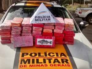 fotos_policia_frutal