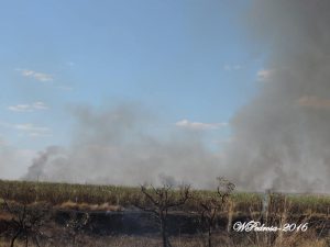 0608incendio2