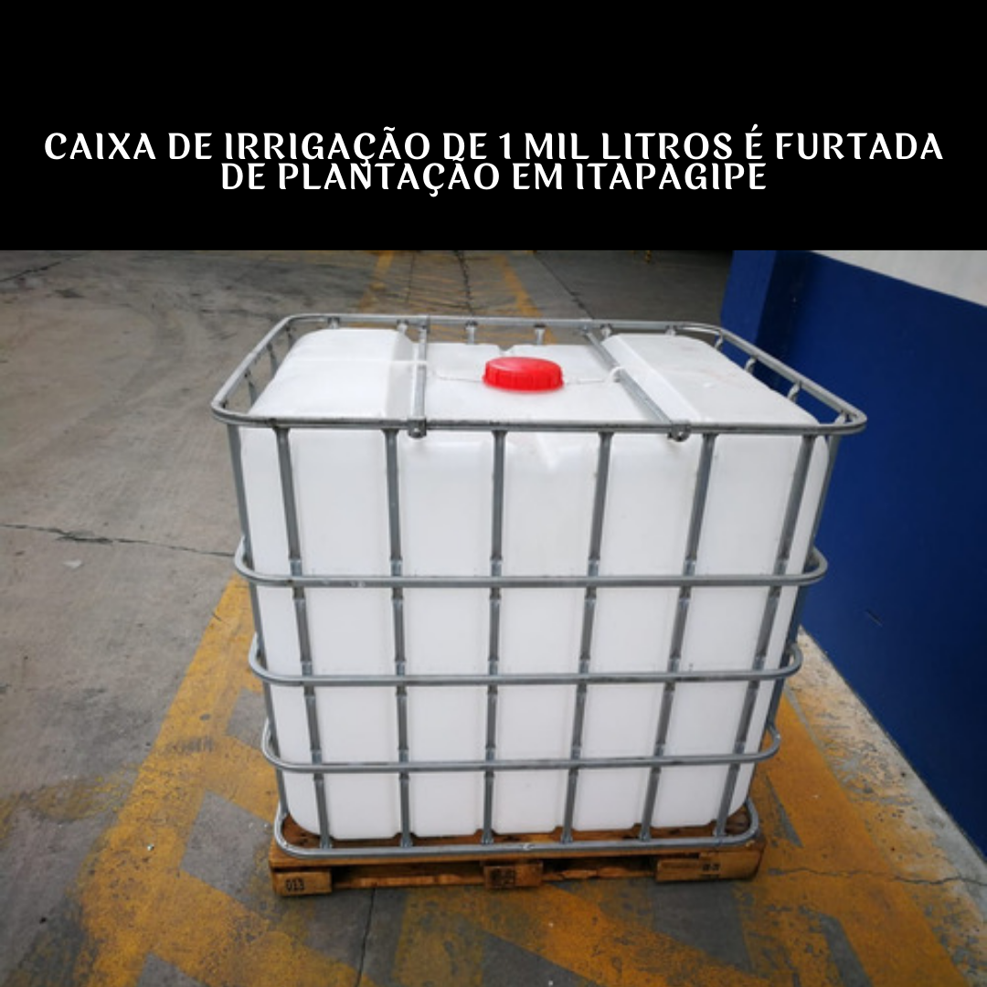 Caixa de irrigação de 1 mil litros é furtada de plantação em Itapagipe ...