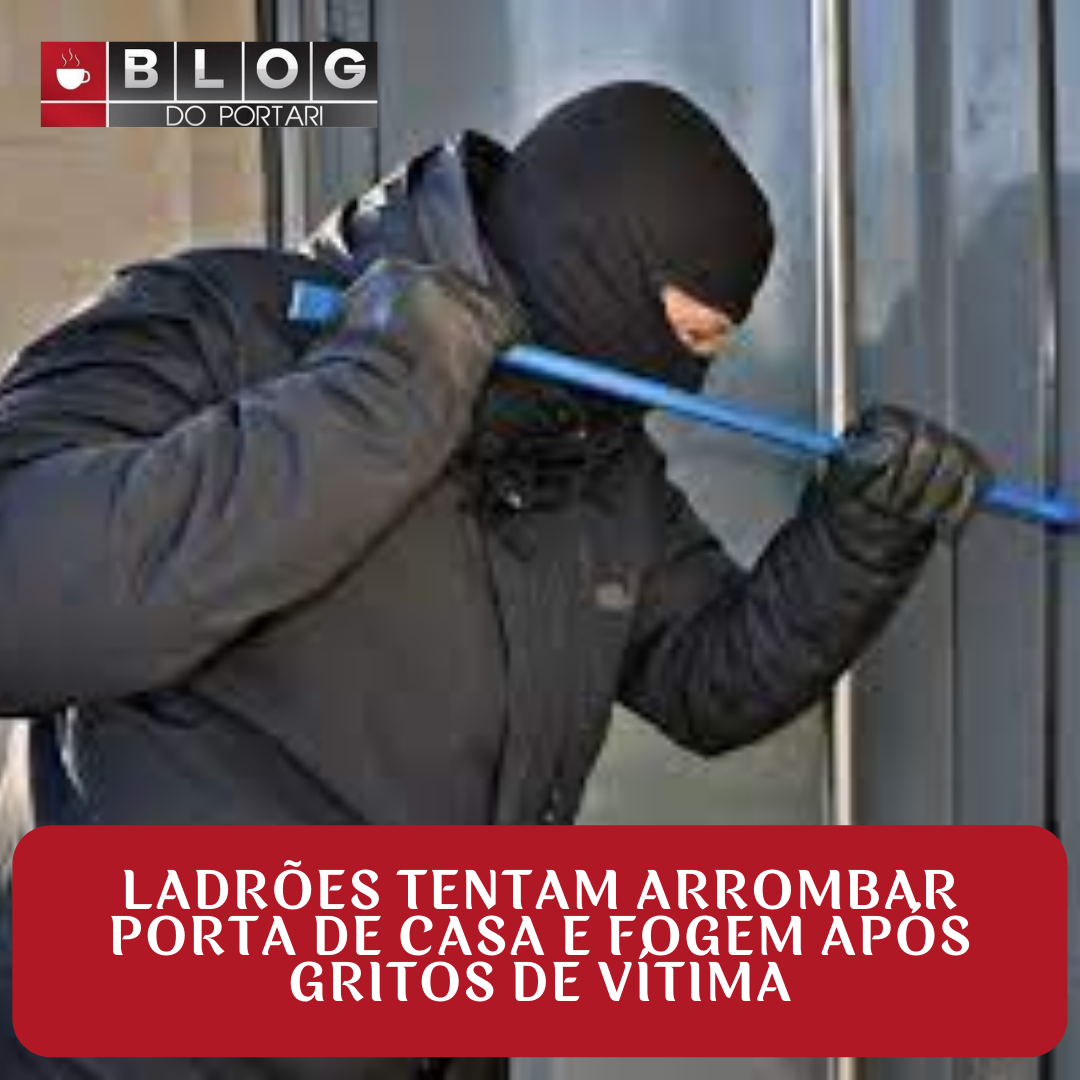 Ladrões tentam arrombar porta de casa e fogem após gritos de vítima ...