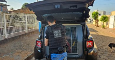 Polícia Civil de Minas Gerais participa de operação interestadual contra crimes virtuais praticados contra crianças e adolescentes