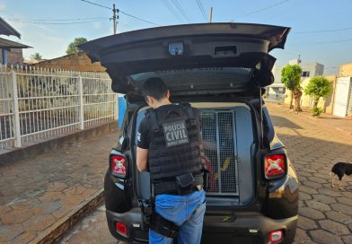 Polícia Civil de Minas Gerais participa de operação interestadual contra crimes virtuais praticados contra crianças e adolescentes