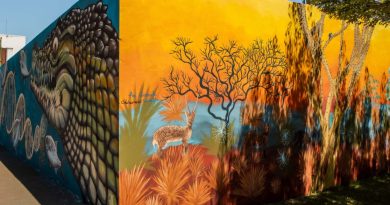 Arte nas Águas de Minas entrega murais em Frutal