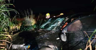 Veículo capota em ribanceira após desviar de animal na BR-354 em Campos Altos