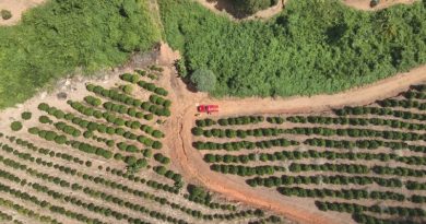 Buscas por pessoa desaparecida entram no 5º dia na zona rural de Campestre