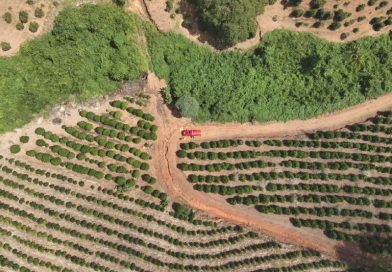Buscas por pessoa desaparecida entram no 5º dia na zona rural de Campestre