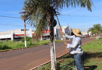 Secretaria de Serviços Urbanos em ação nesta semana em Frutal